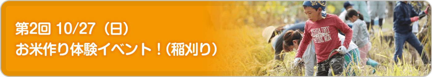 【第2回】10/27（日）「お米作り体験イベント！（稲刈り）