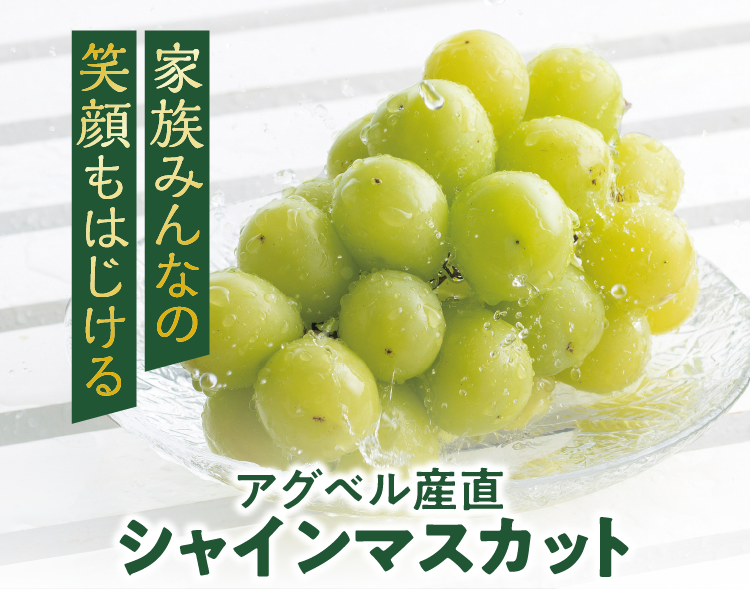 富士山美食物語 しずてつストア オンラインショップ シャインマスカット