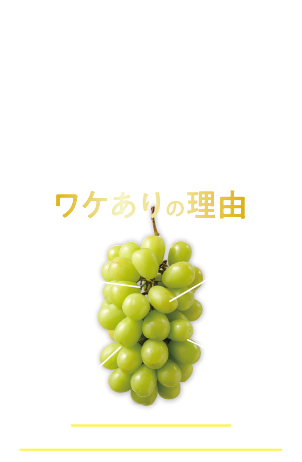 しずてつストア